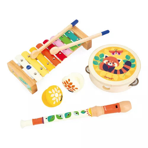 Musical Instrument Set ''Gioia''